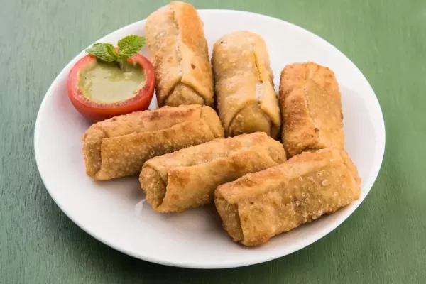 Veg Spring Rolls with mint leaf and green chutney or Tomato Ketchup. Selective focus